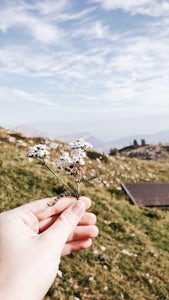Explore Monte Baldo