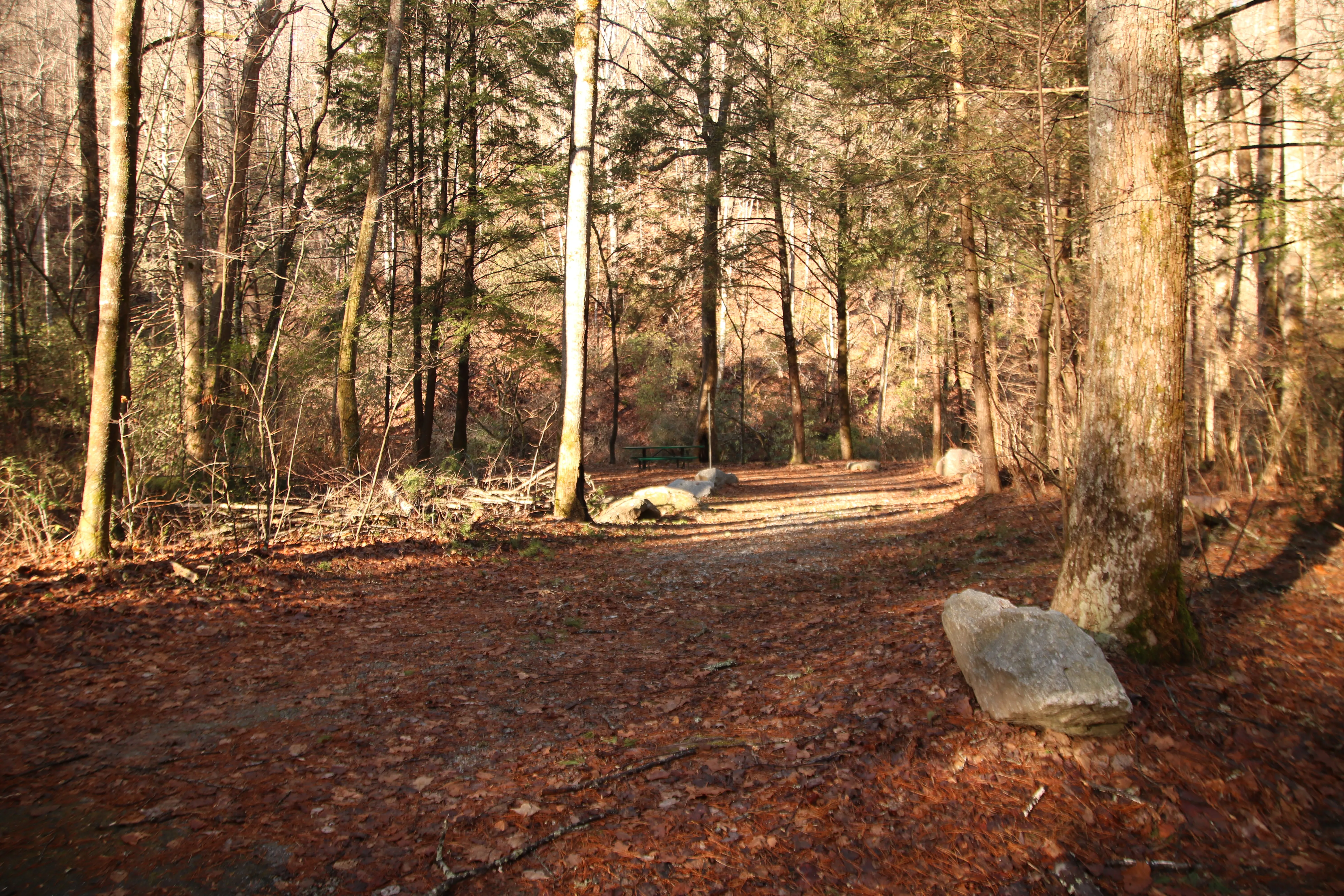 Camp at Tallulah River Campground