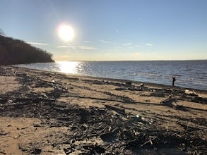 Hike the Elk Neck State Forest Trails