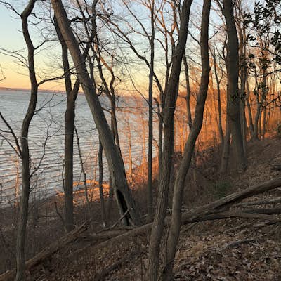 Hike the Elk Neck State Forest Trails