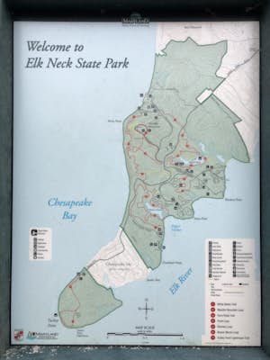Hike the Elk Neck State Forest Trails