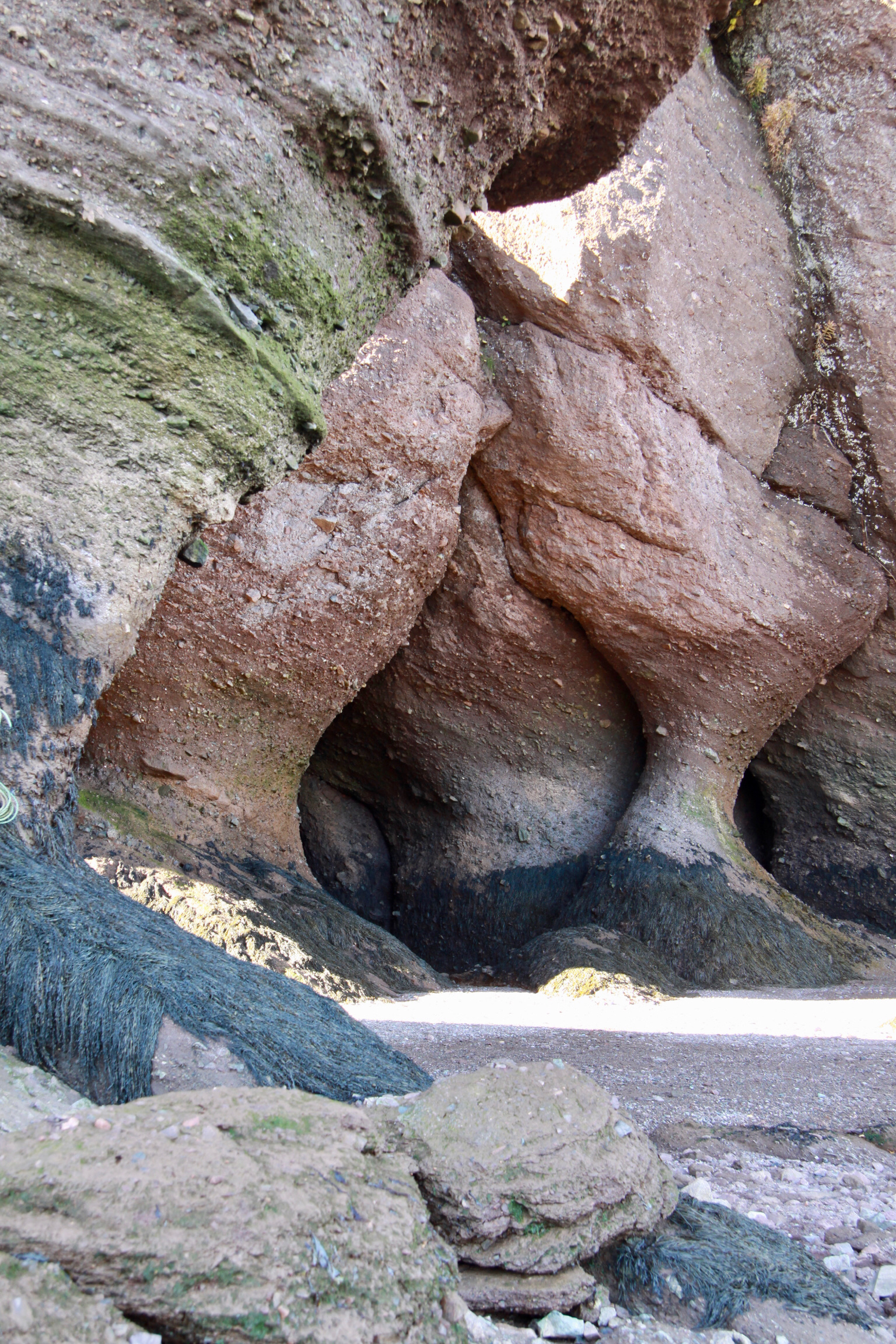 Hopewell Rocks
