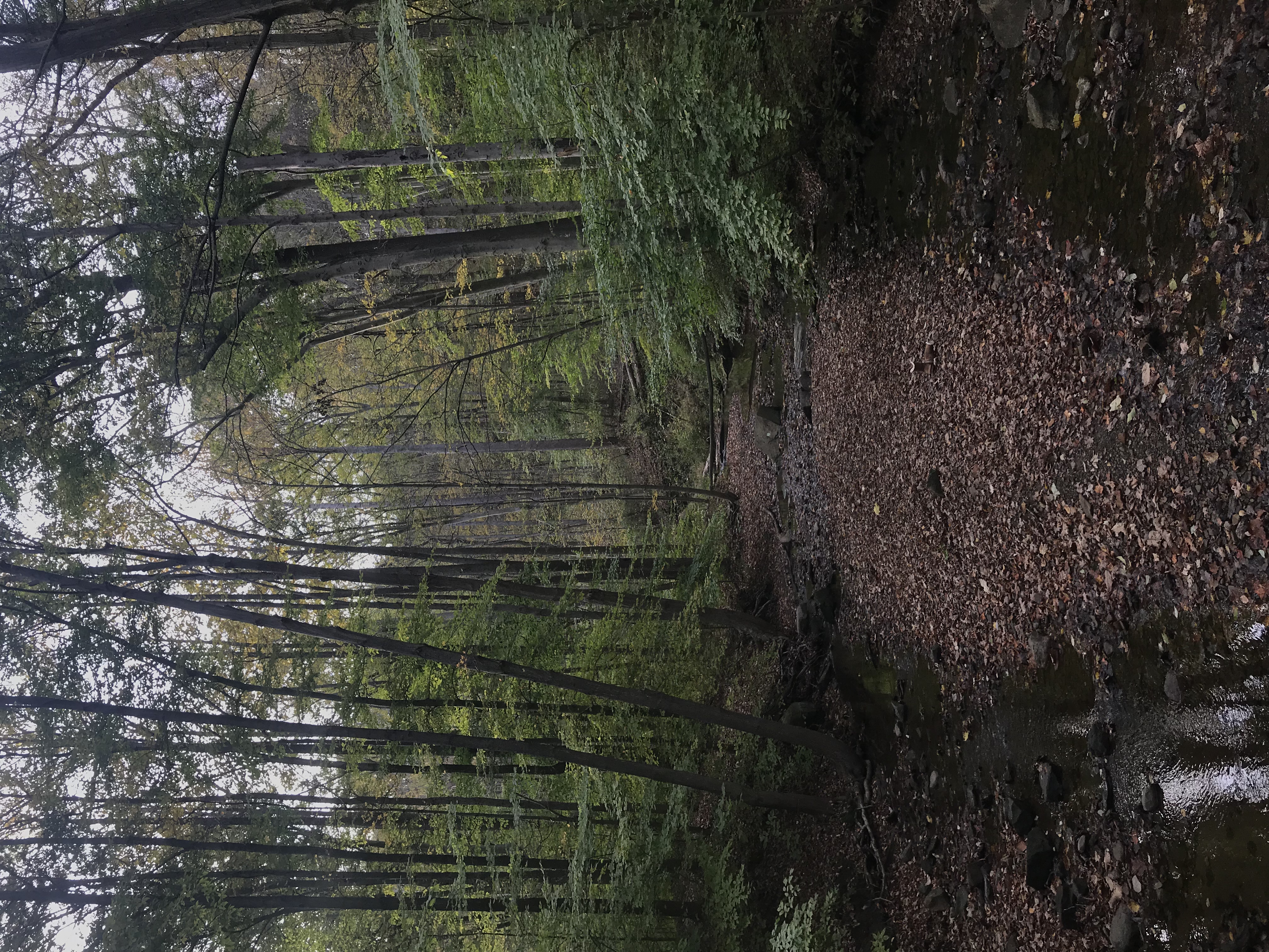 Hike up Brandywine Creek to Brandywine Falls