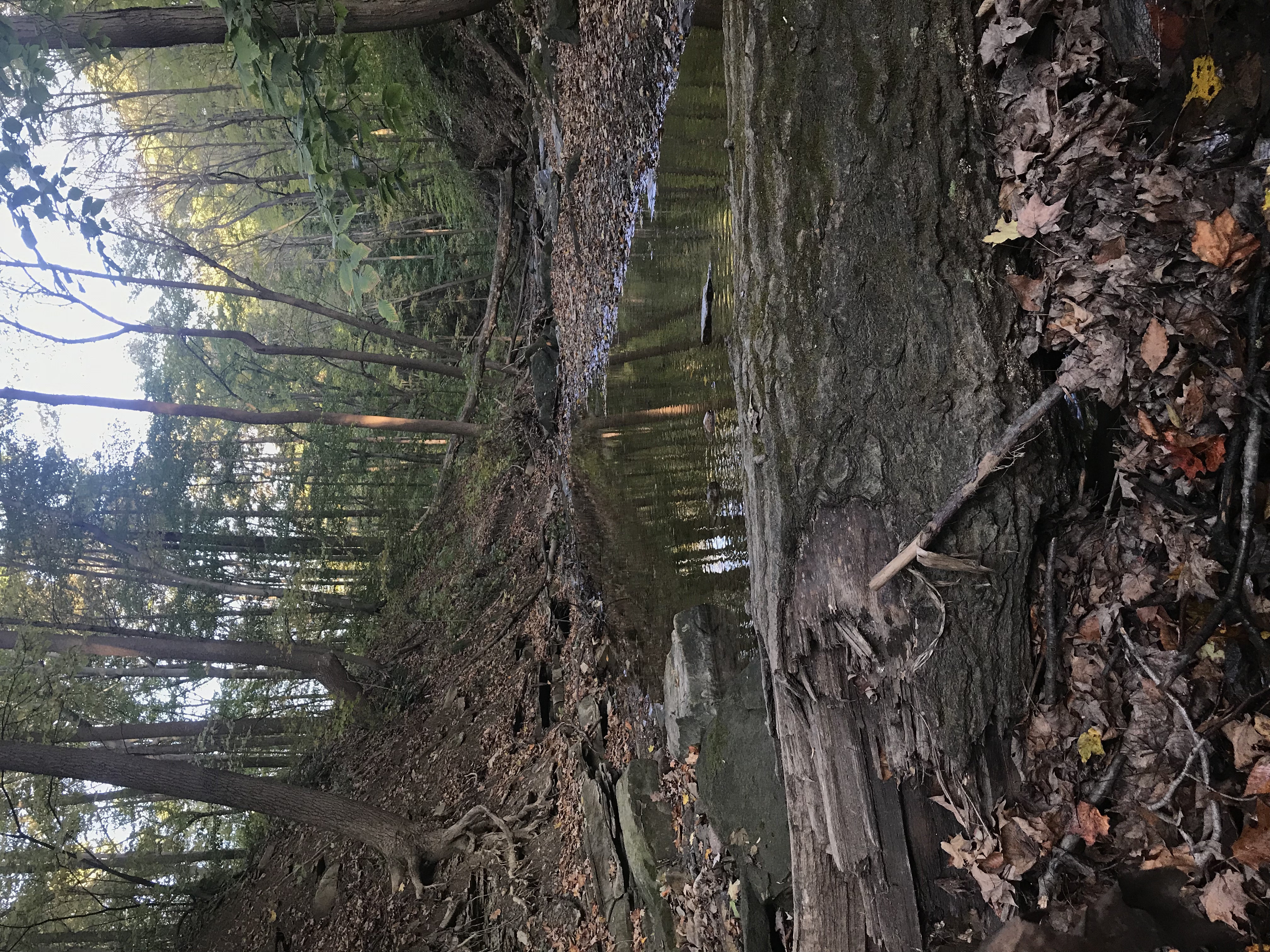Hike up Brandywine Creek to Brandywine Falls
