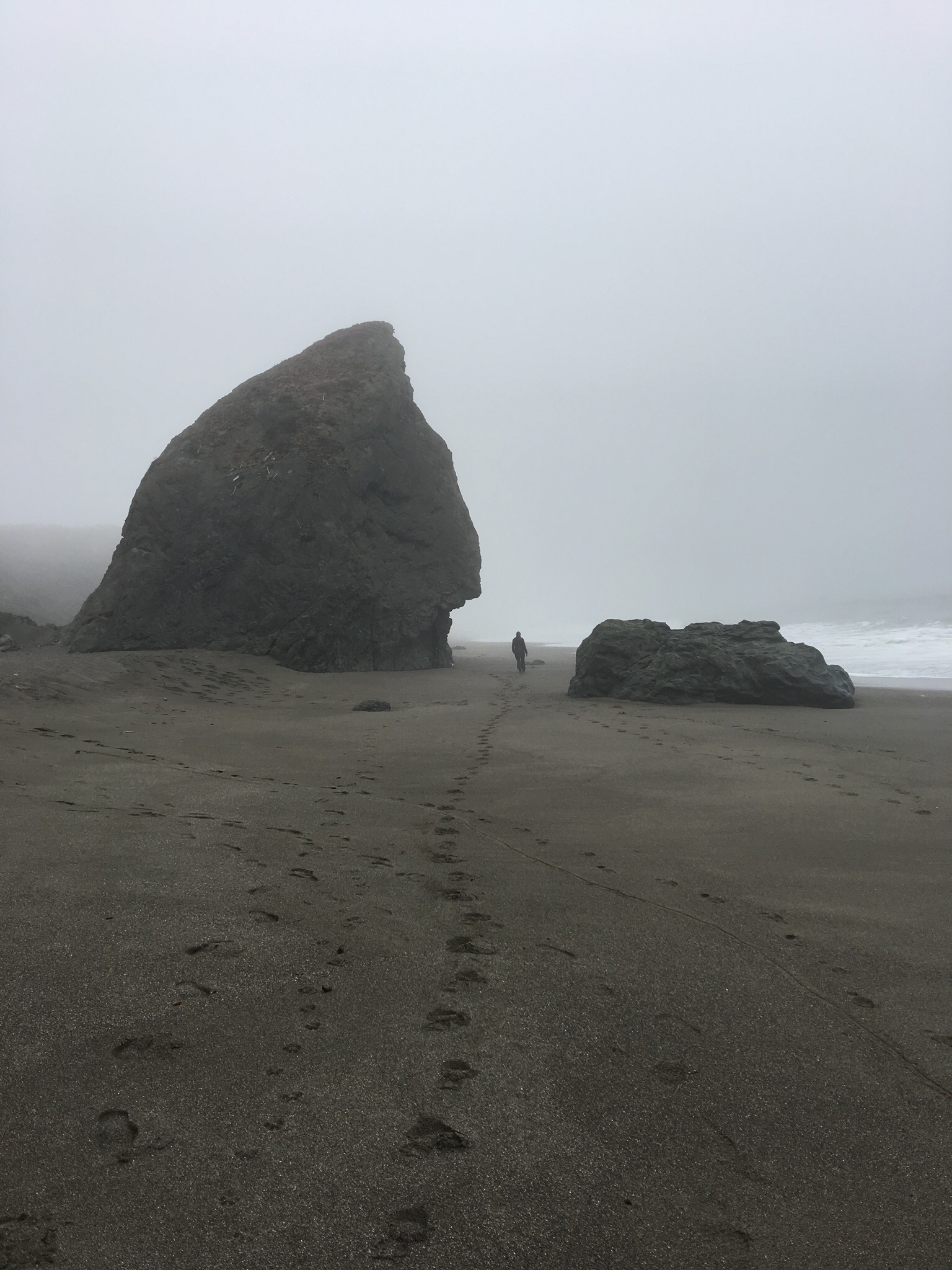 Camp at Bodega Dunes Campground