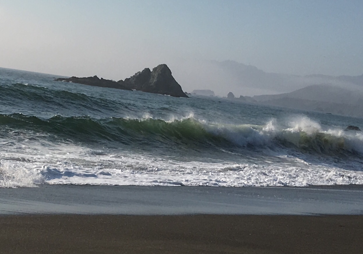 Camp at Bodega Dunes Campground