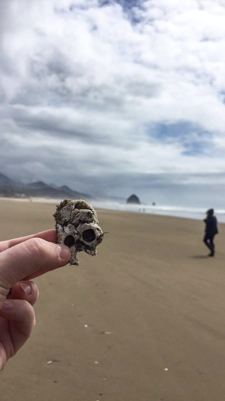 Cannon Beach 