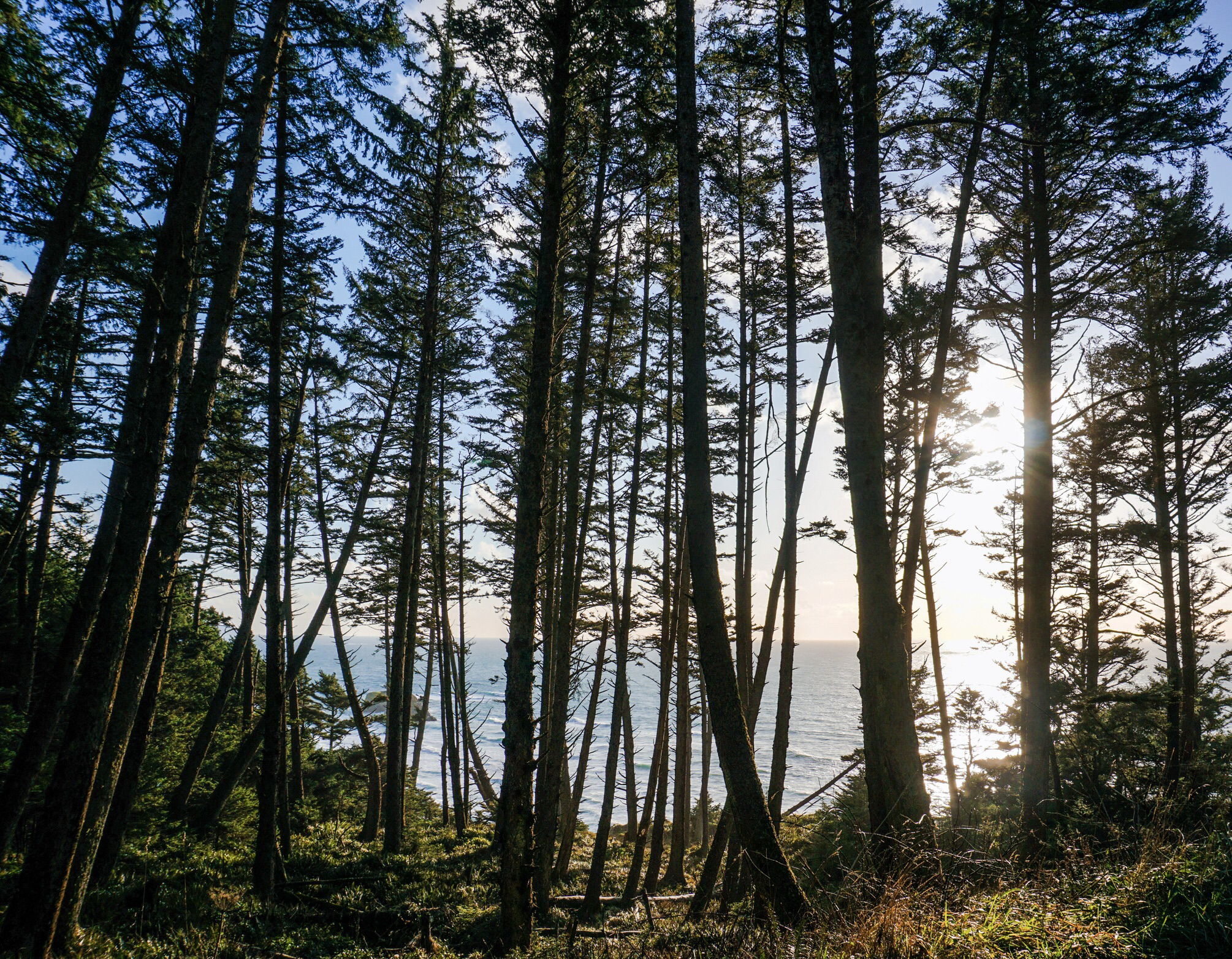 Explore Ecola State Park
