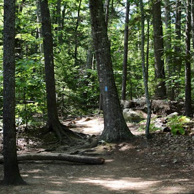 Hike Mount Megunticook in Camden Hills State Park