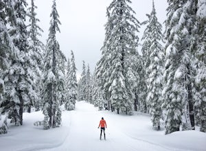 Nordic Ski on Mt. Bachelor