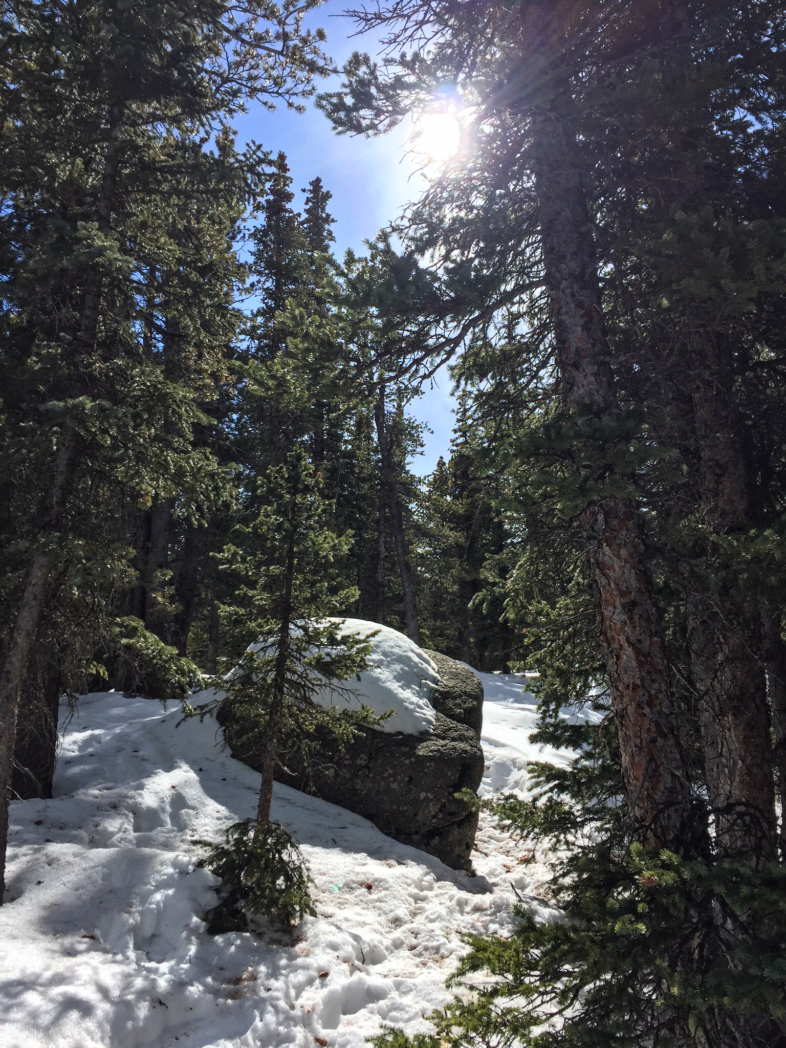 Echo Lake Park Loop
