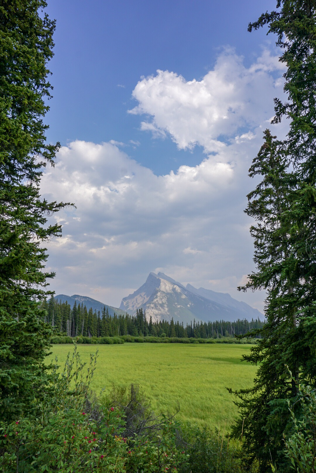 Vermillion Lakes