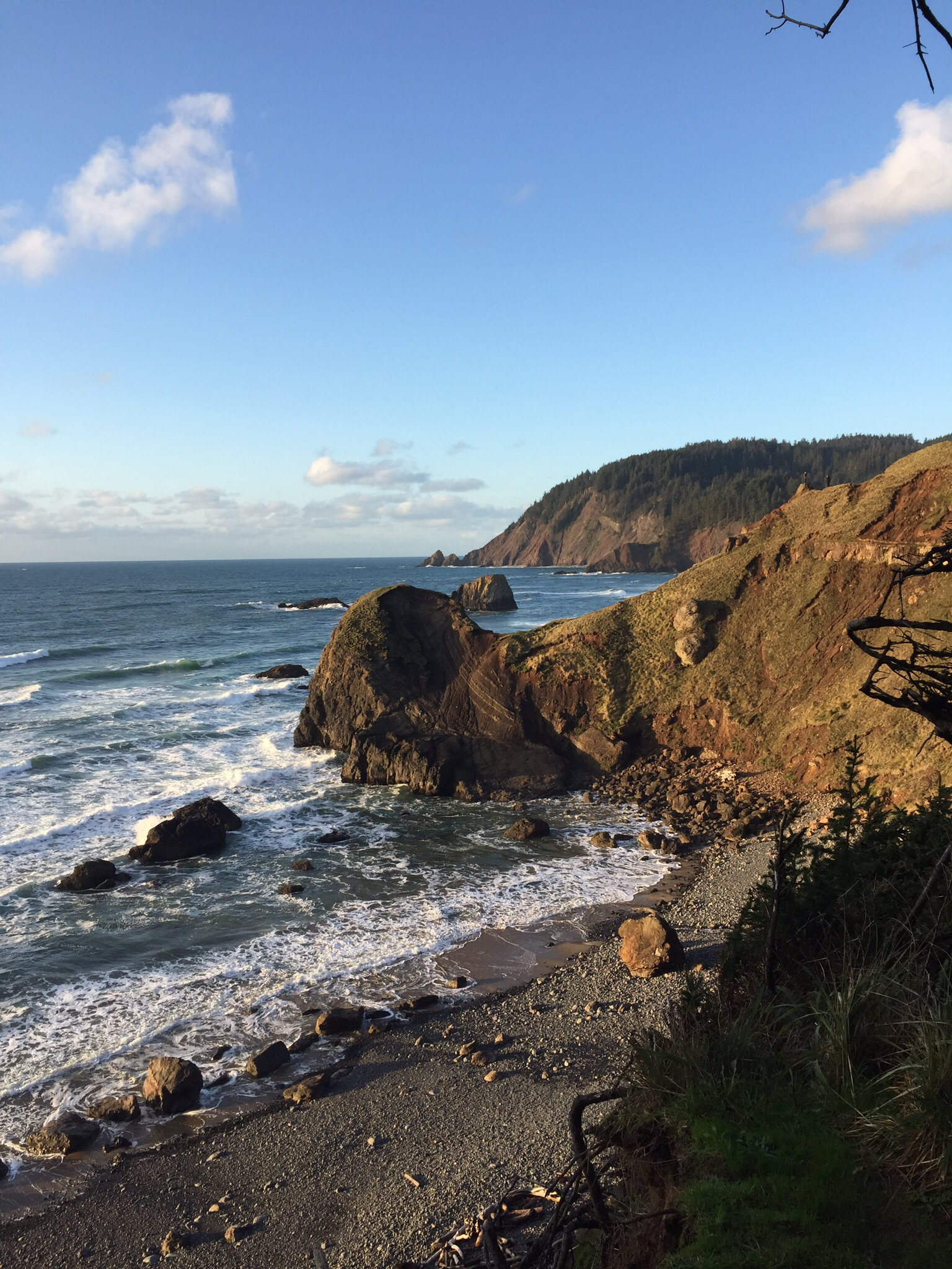 Explore Ecola State Park