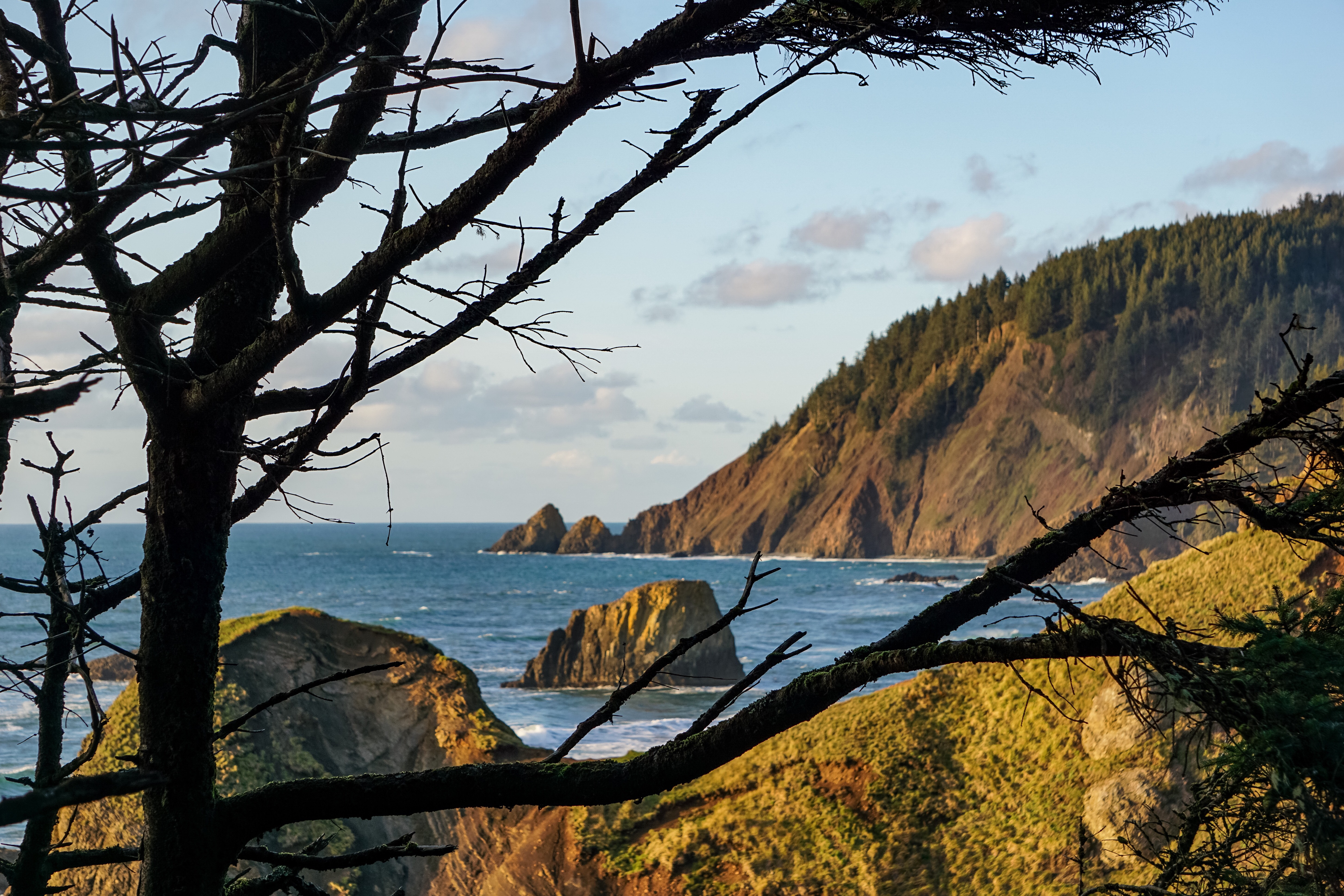 Explore Ecola State Park