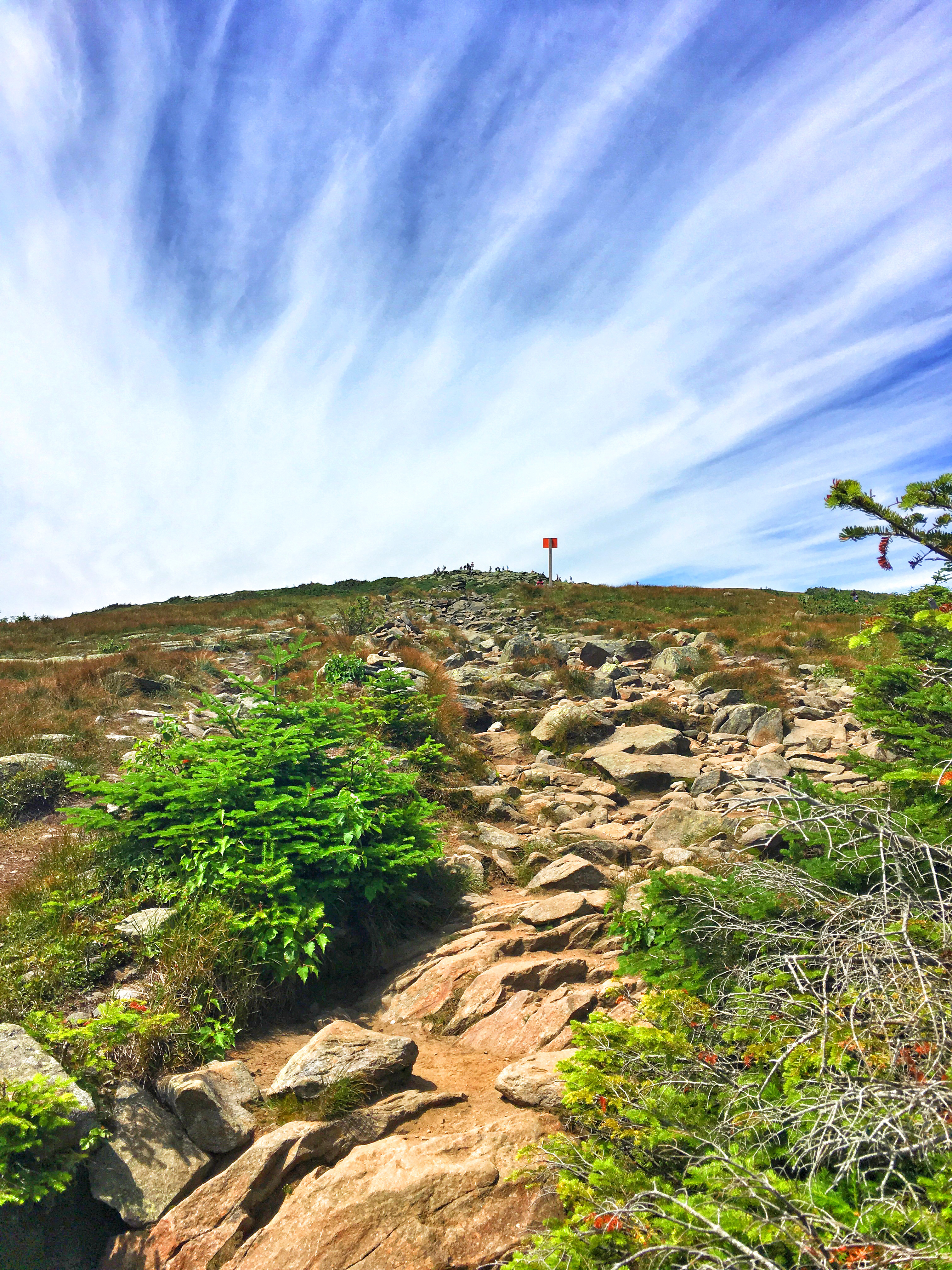 Mount Moosilauke via Gorge Brook Trail