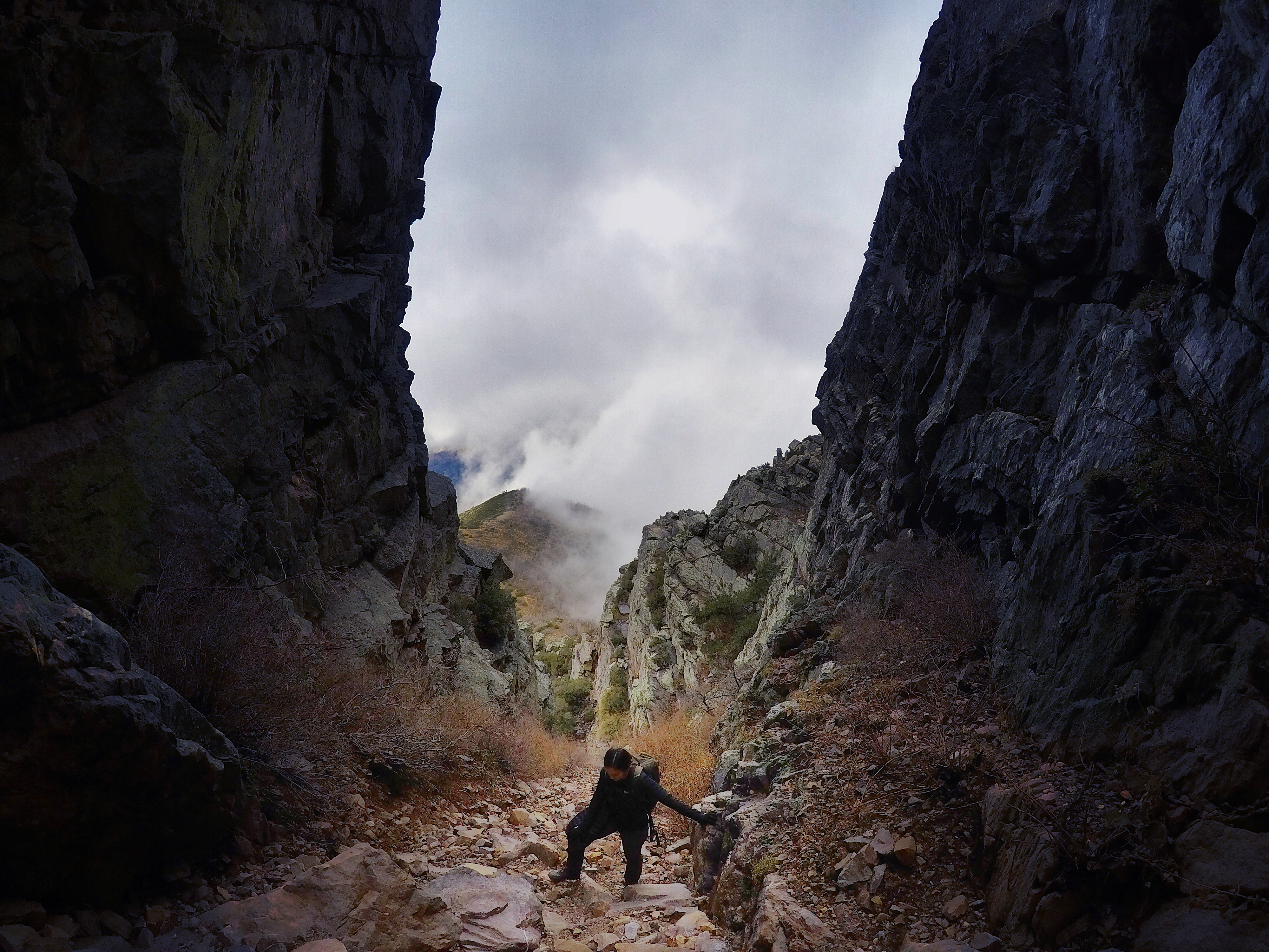 Hike to Brown's Peak