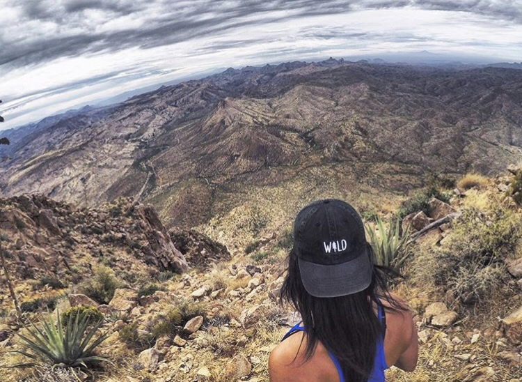 Picketpost Mountain Trail