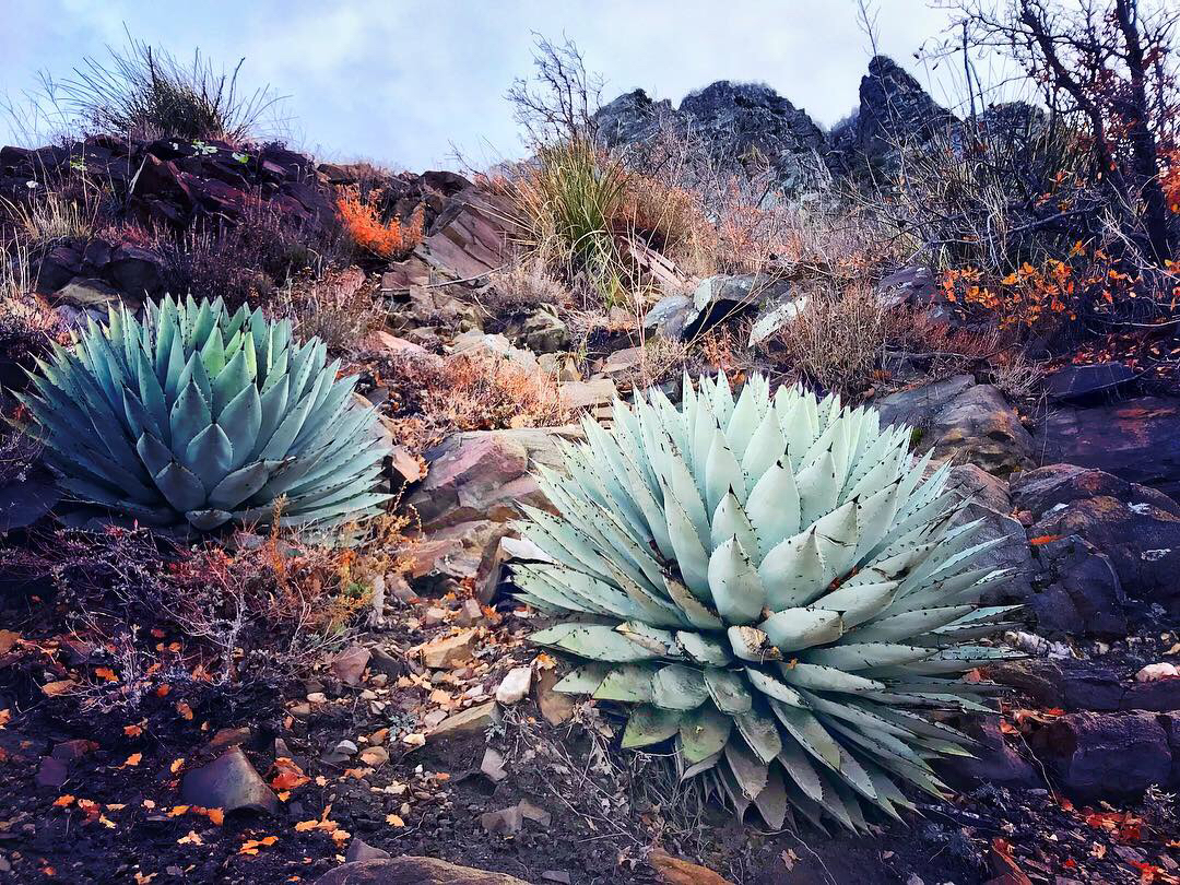 Hike to Brown's Peak