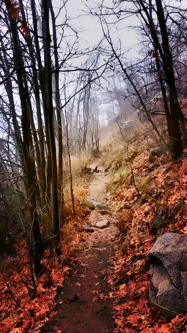 Hike to Brown's Peak