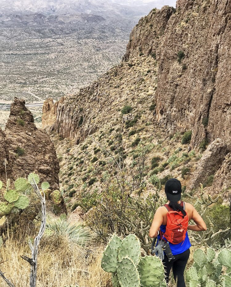 Picketpost Mountain Trail