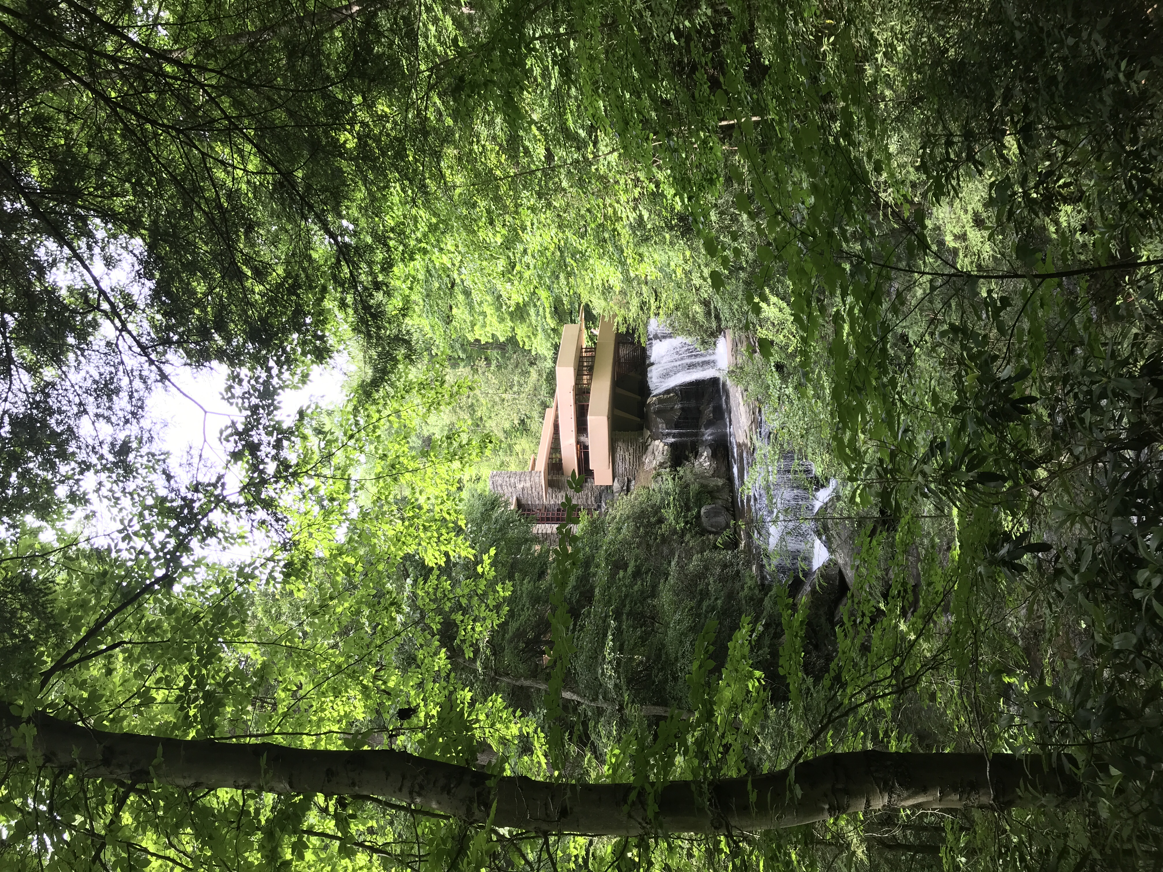 Explore Fallingwater