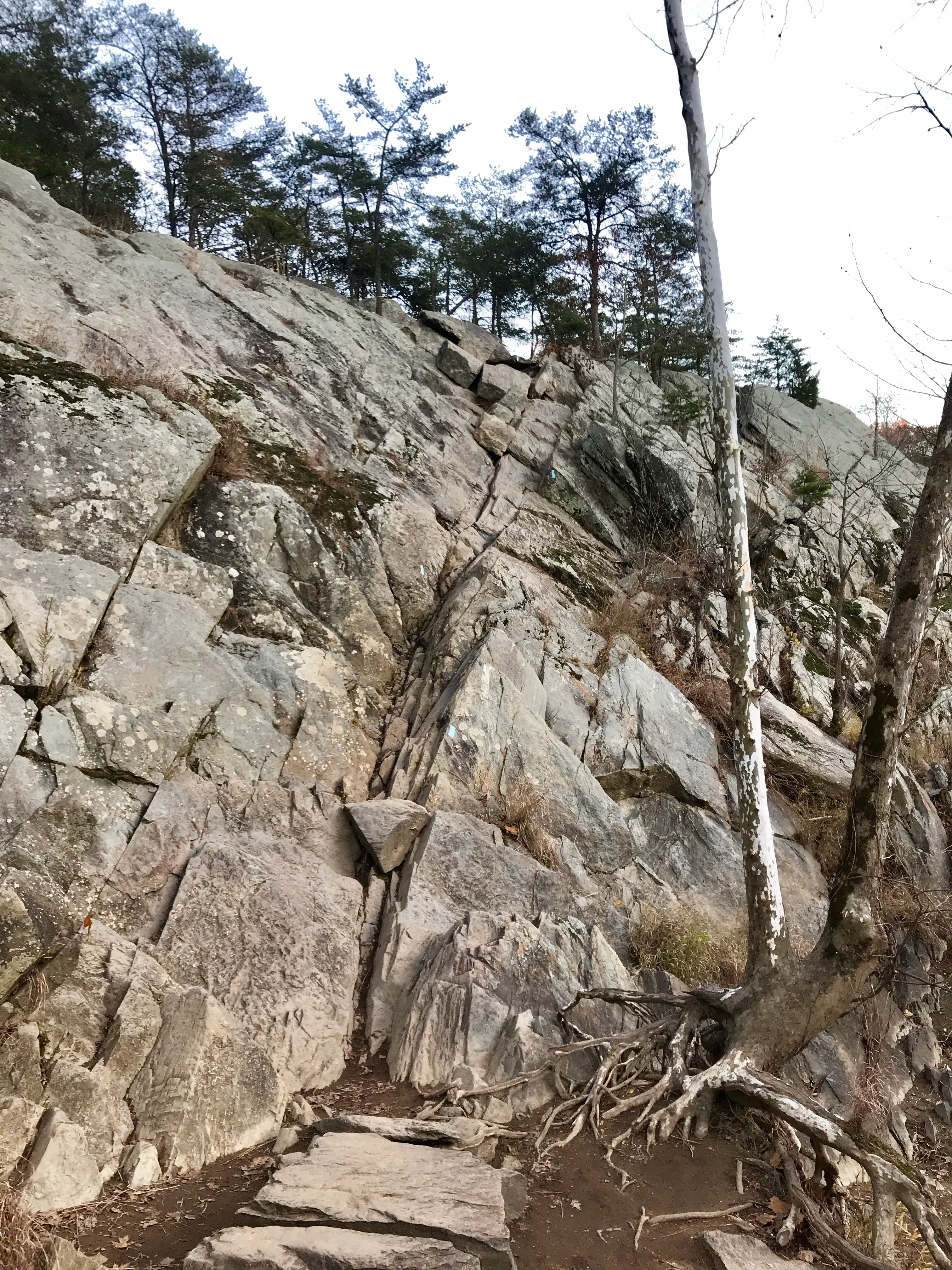Great Falls and the Billy Goat Trail