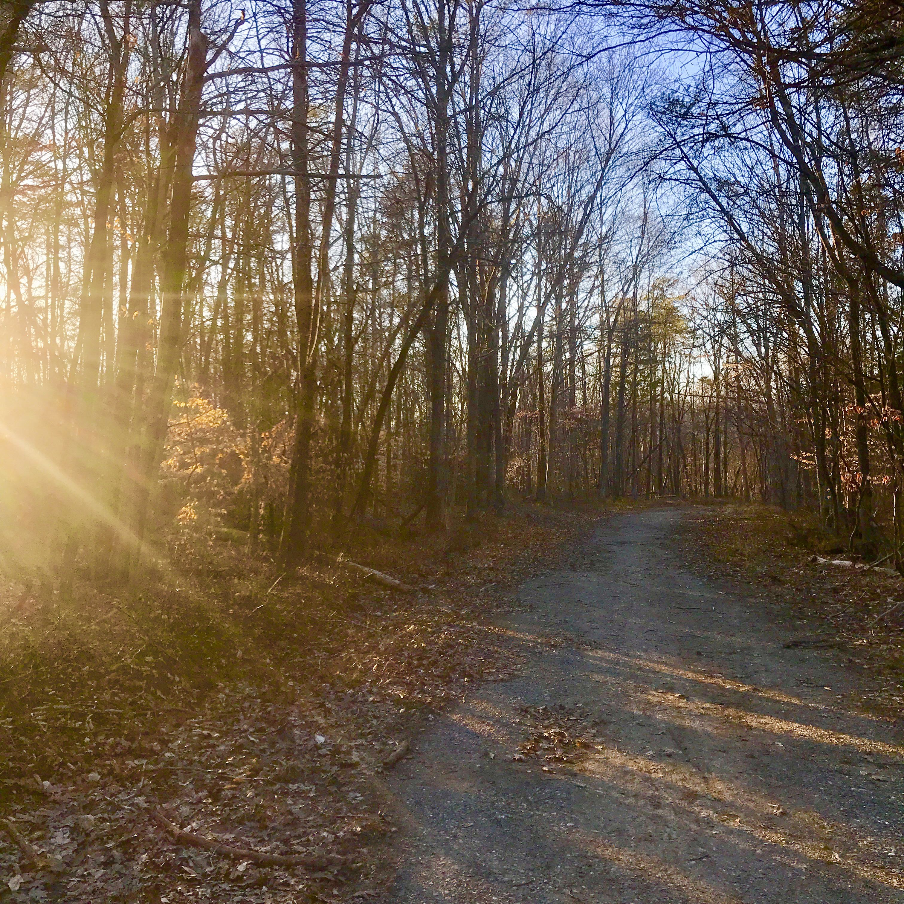 The Best Trails And Outdoor Activities In Clarksburg Maryland The Outbound Collective