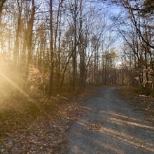 Hike or Bike the Hoyles Mill Trail