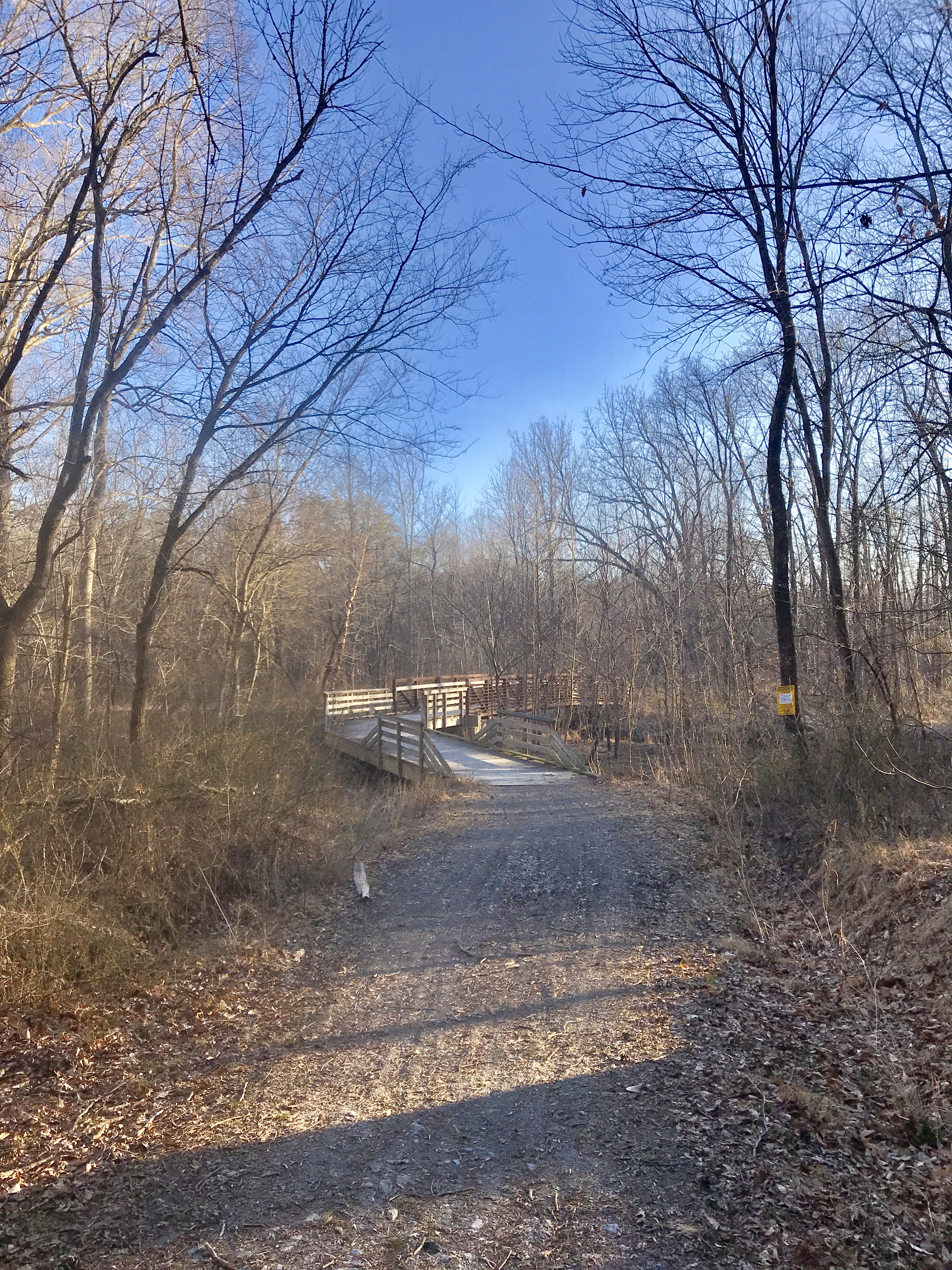 Hike or Bike the Hoyles Mill Trail
