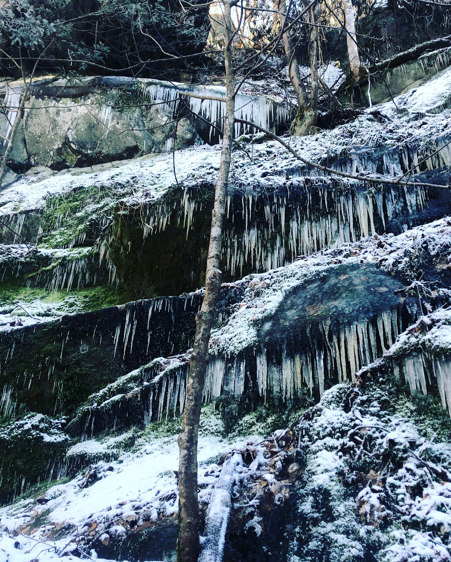 Fern Branch Falls