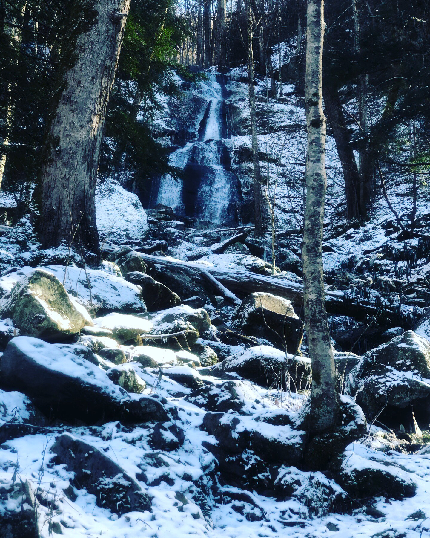 Fern Branch Falls