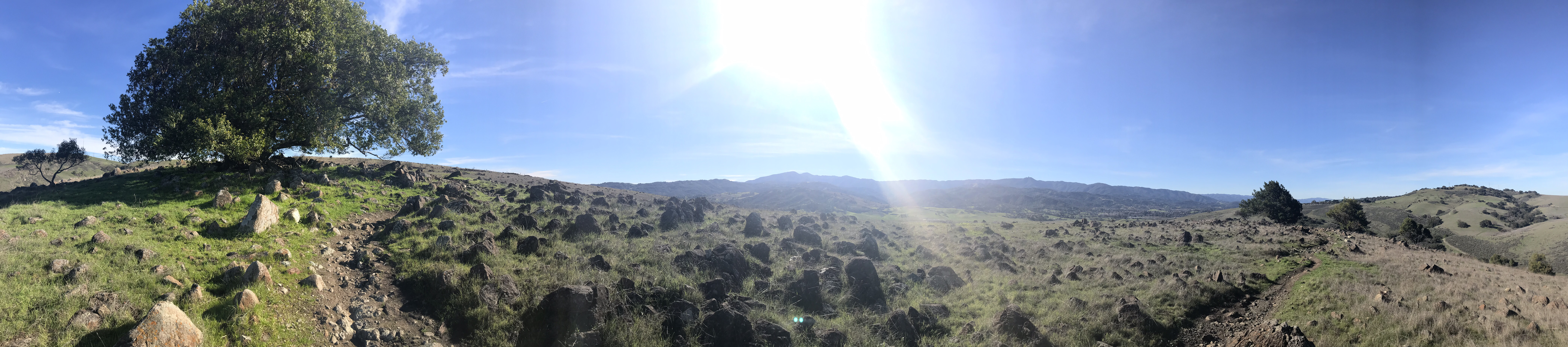 Coyote Peak & Rocky Ridge Trail Loop