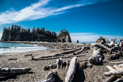 Olympic National Park Adventures!