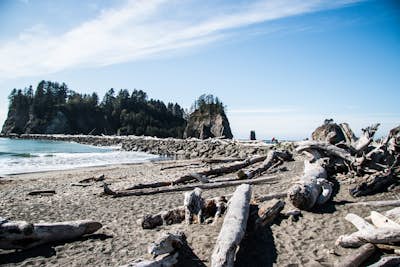 Olympic National Park Adventures!