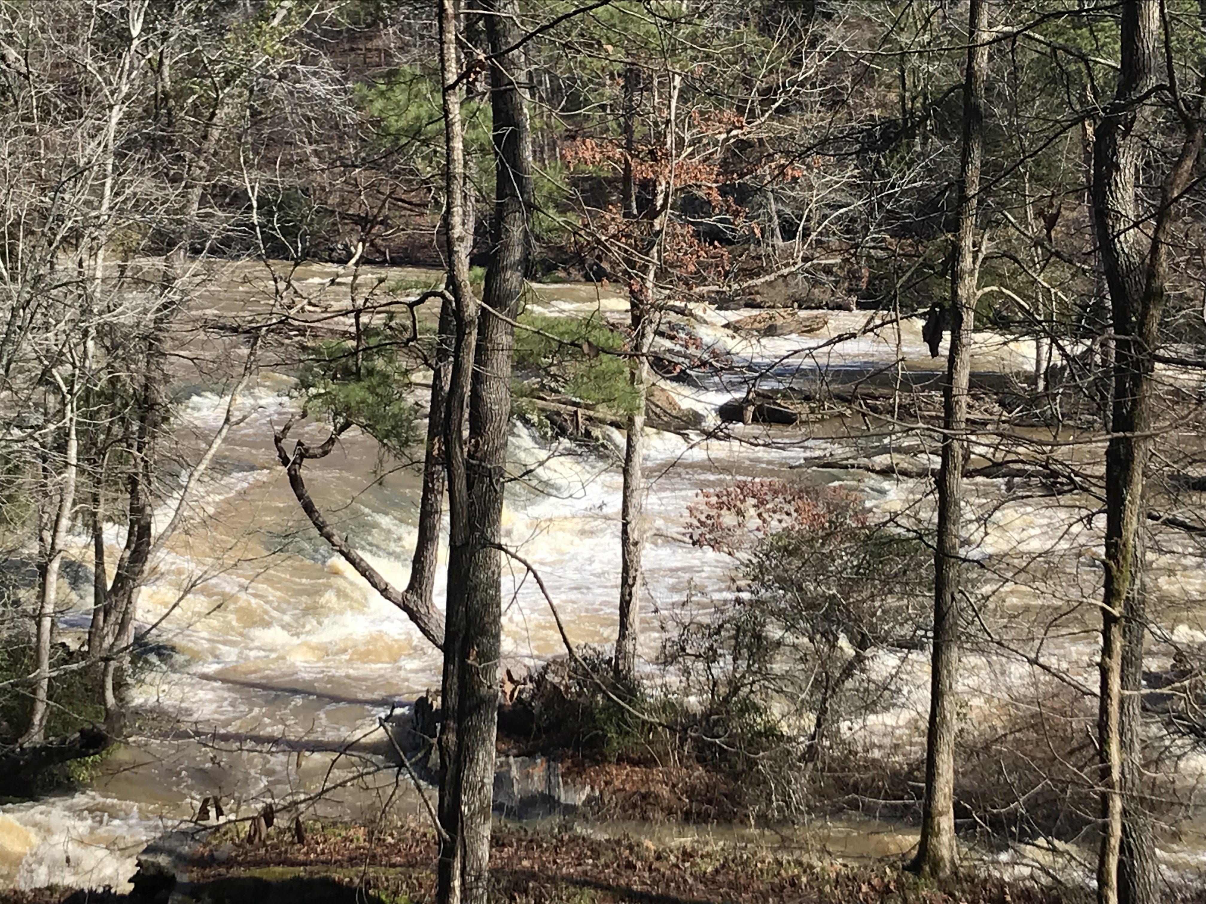 Sweetwater Creek Red Trail