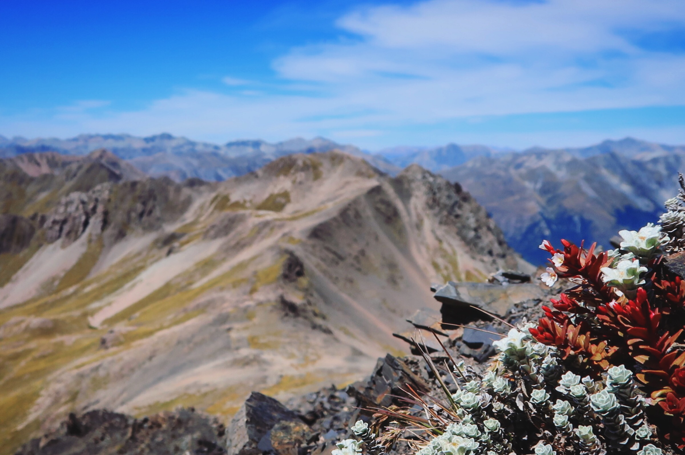 Hike up Avalanche Peak