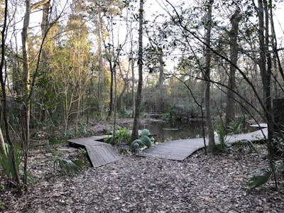 Hike the Edith L Moore Nature Sanctuary Trail
