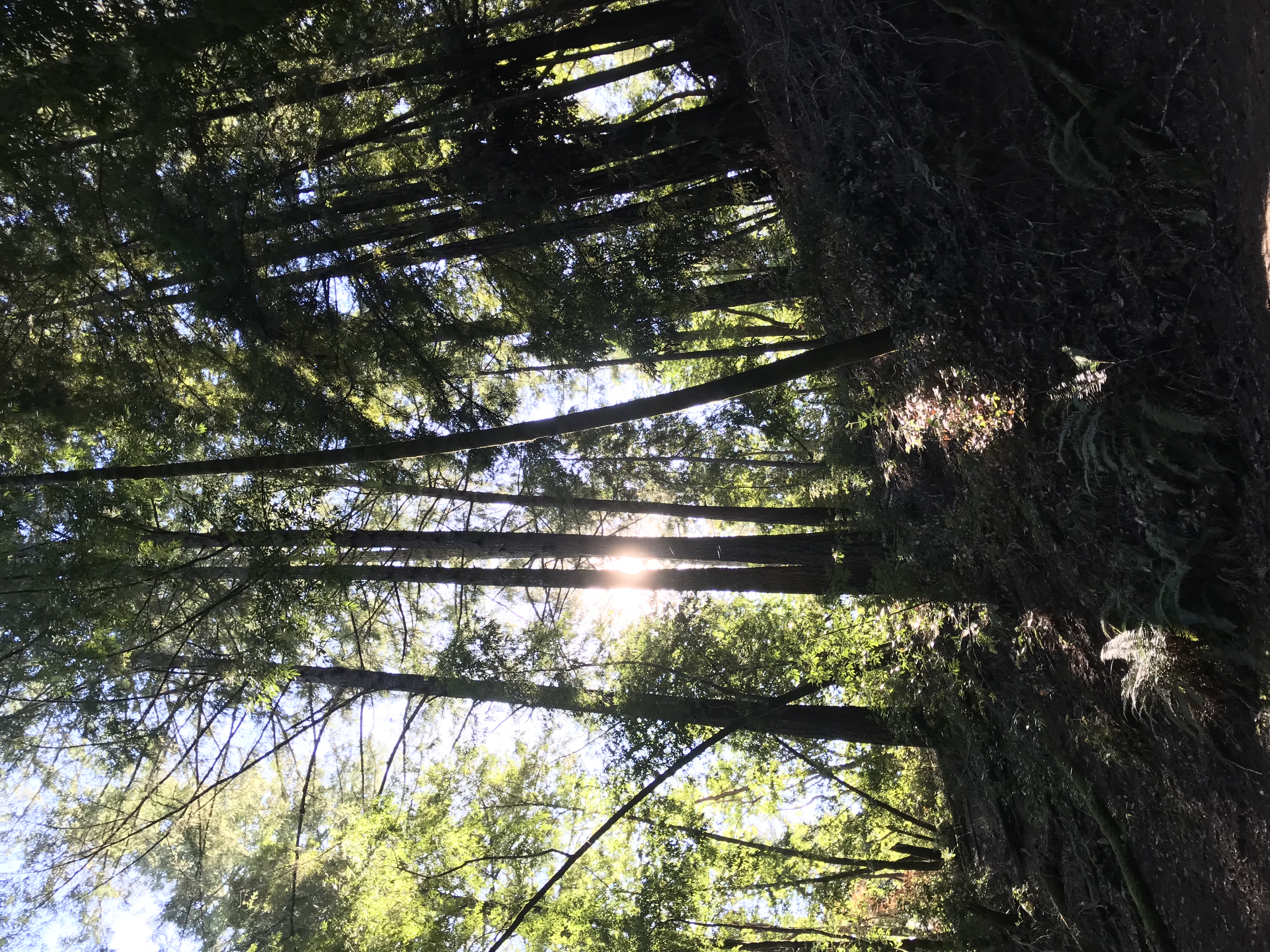 East Ridge - Pool Ridge Loop