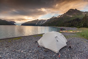 Camp and Kayak at Holgate Glacier's Beach