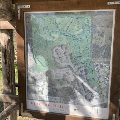 Hike the Ringtail Ridge Trail