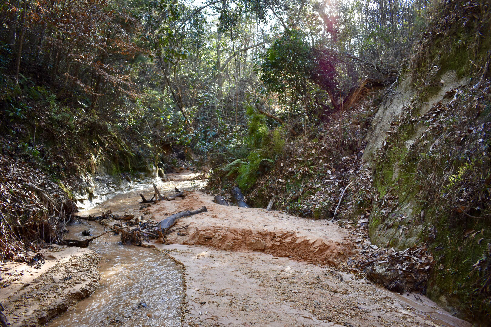 Red Bluff 