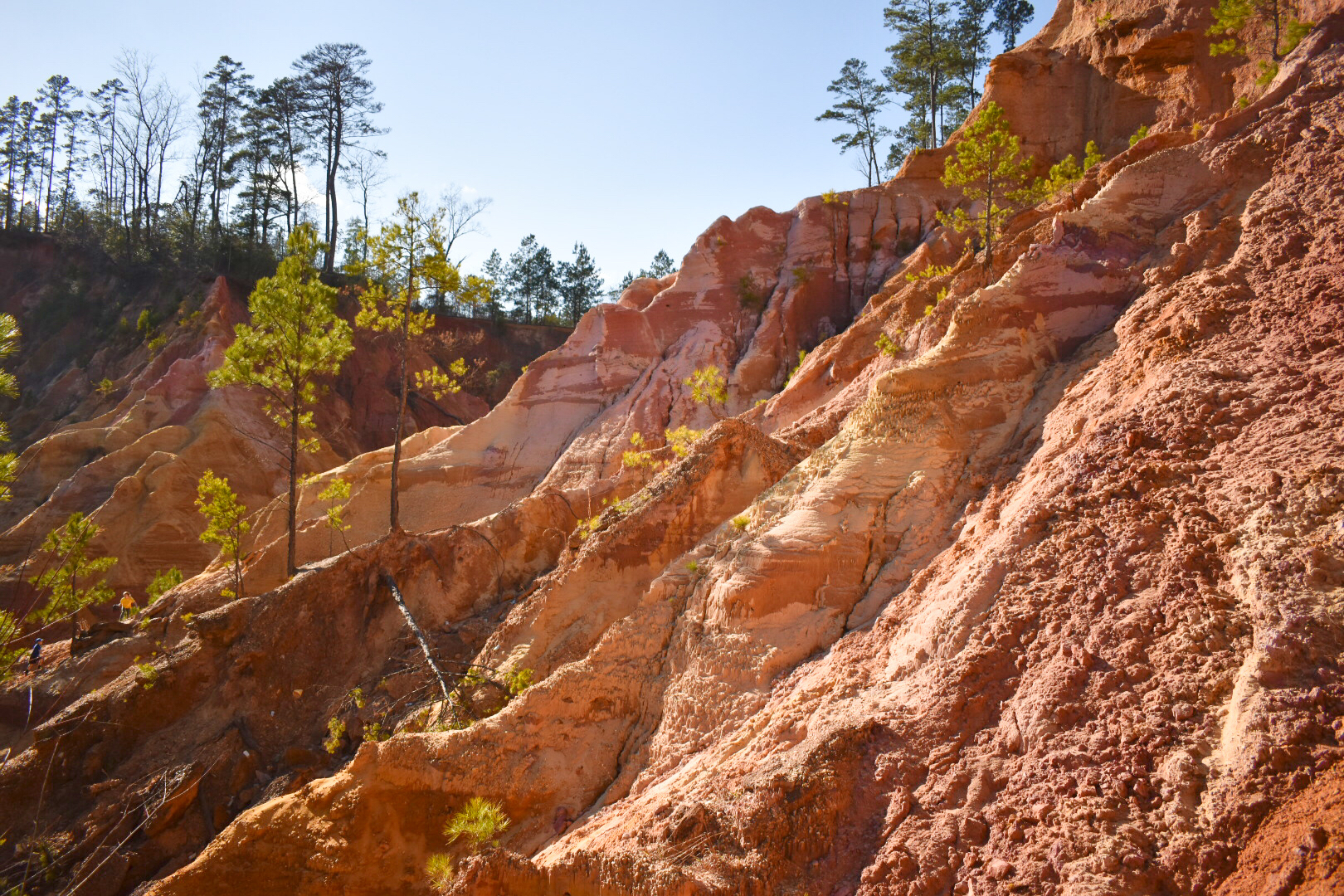Red Bluff 