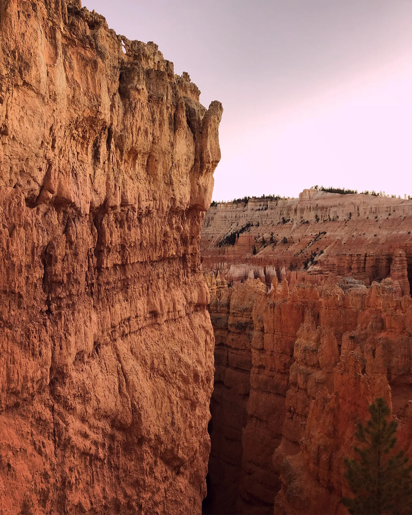 Bryce Canyon Scenic Drive