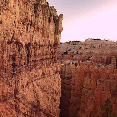 Bryce Canyon Scenic Drive