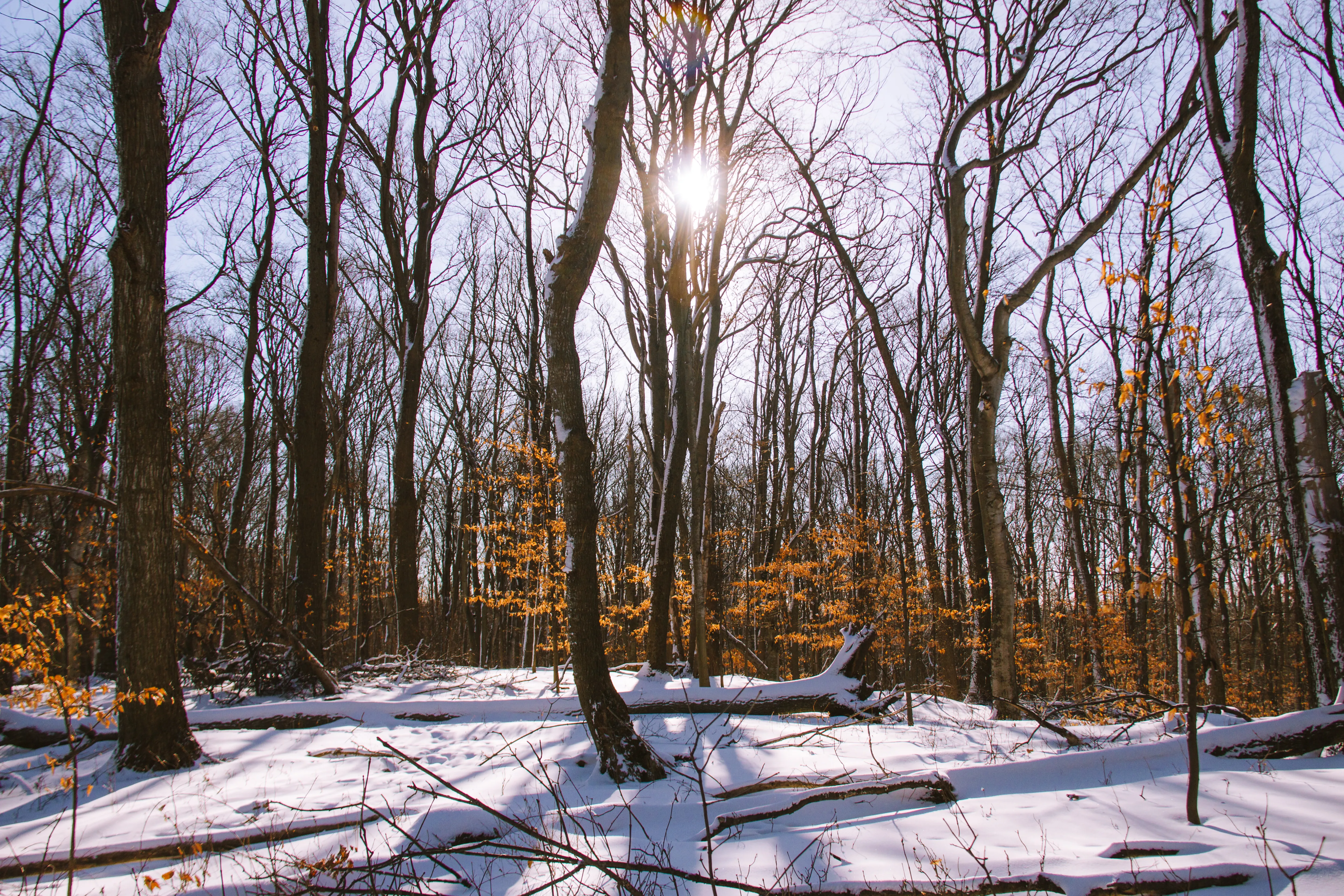Winter Hike Empire Bluff Trail