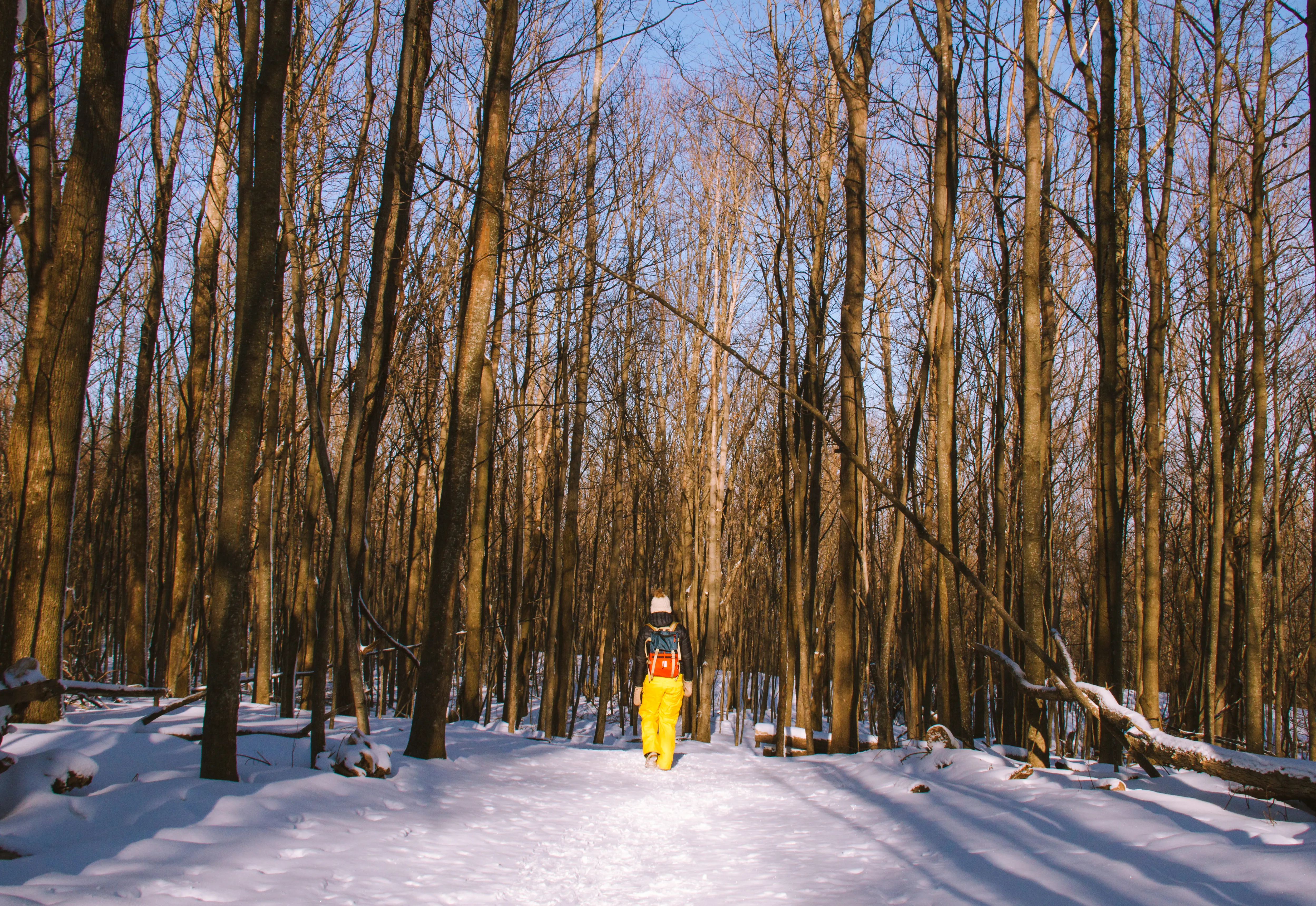 Winter Hike Empire Bluff Trail