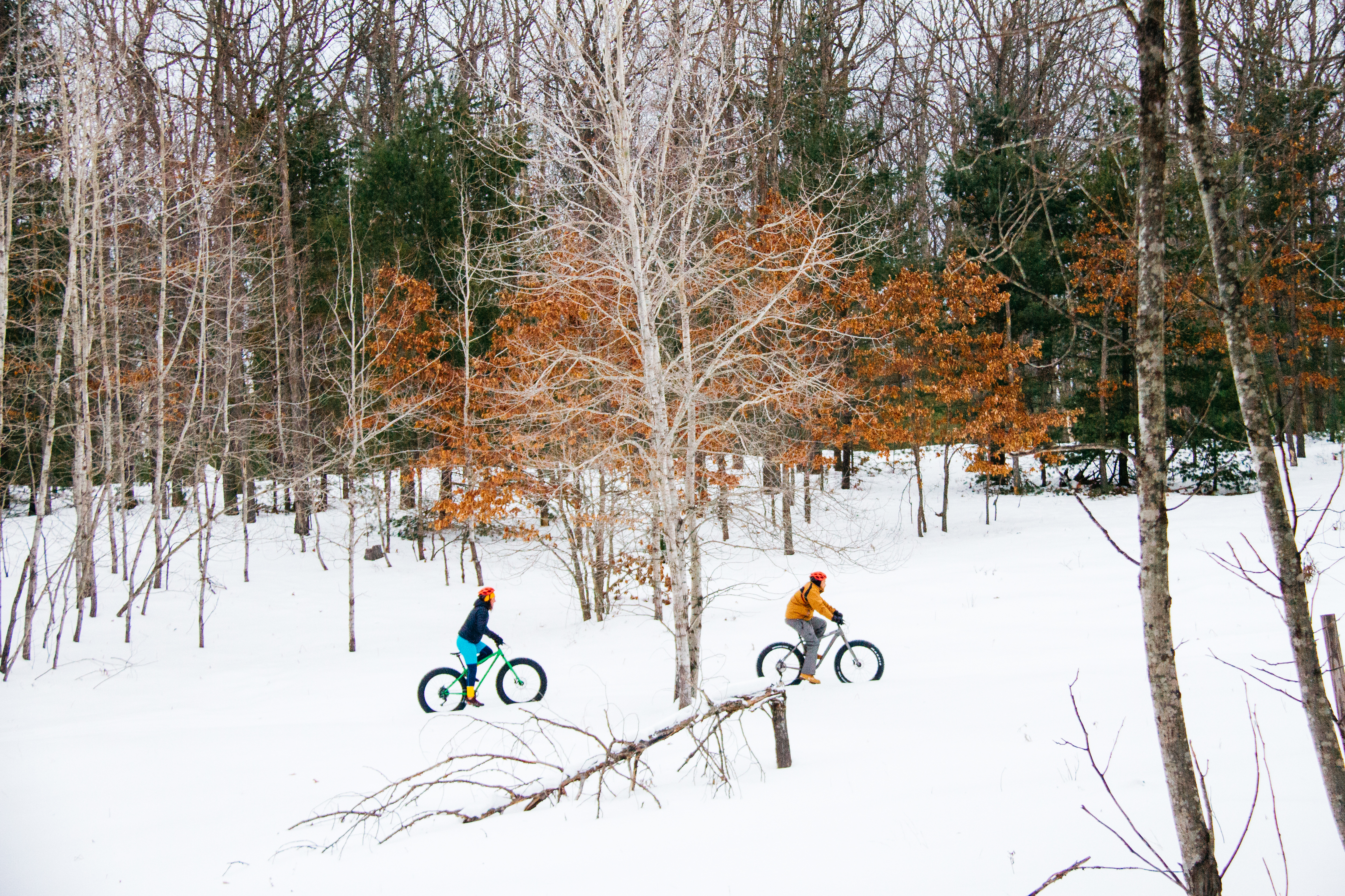 Traverse City Vasa Trail Map