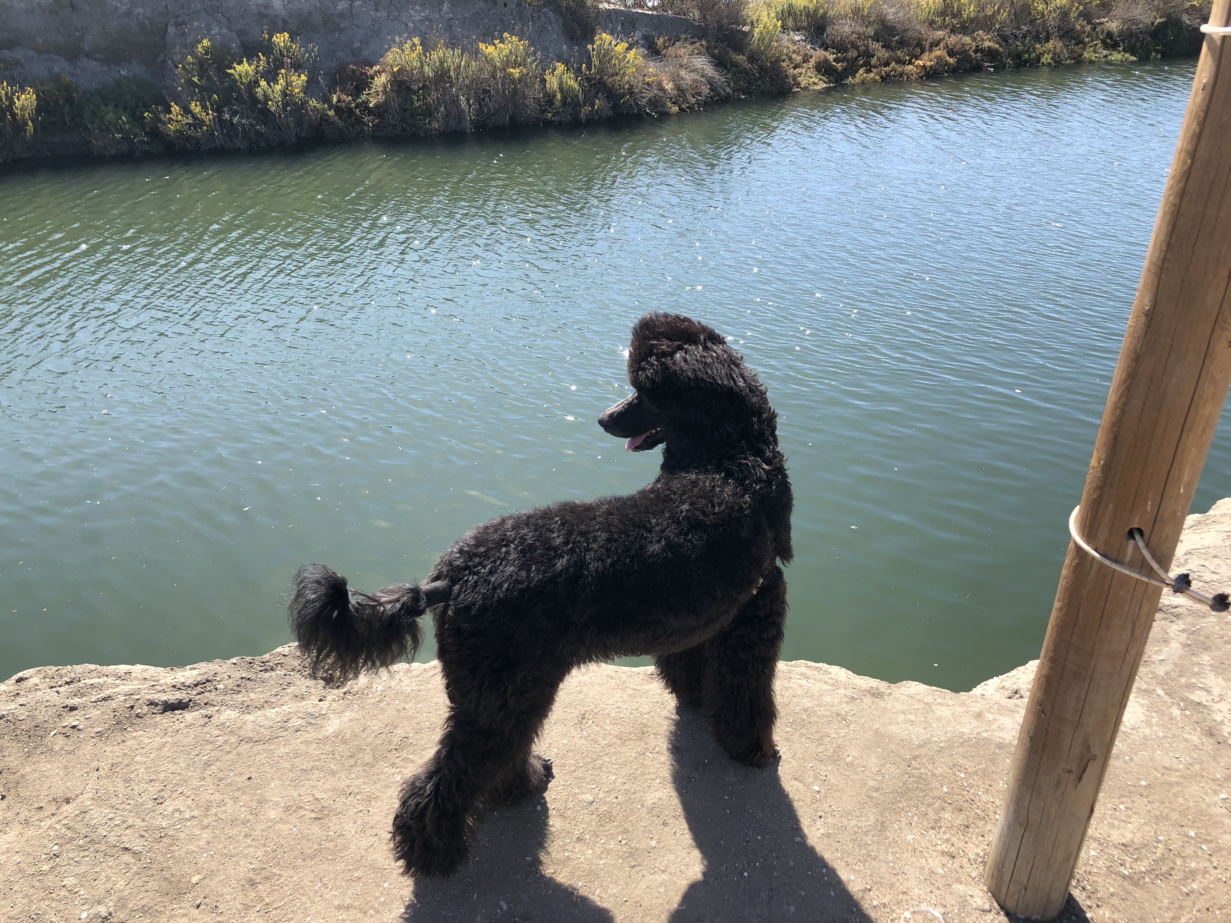 Newport Beach Back Bay Trail