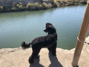 Newport Beach Back Bay Trail