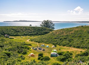 10 Must-Do Adventures in Point Reyes National Seashore
